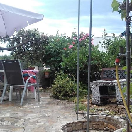 Apartmani Rosanda 2 Petrcane Εξωτερικό φωτογραφία